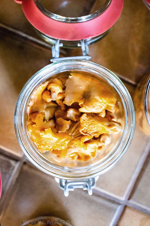 chanterelle mushrooms about to get preserved