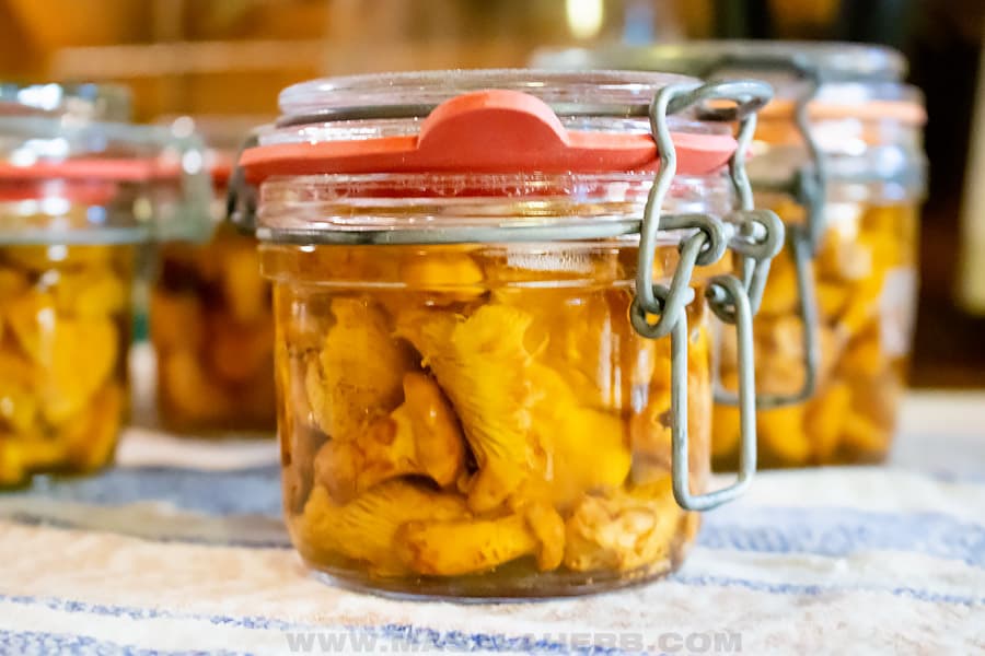 preserving mushrooms in a jar