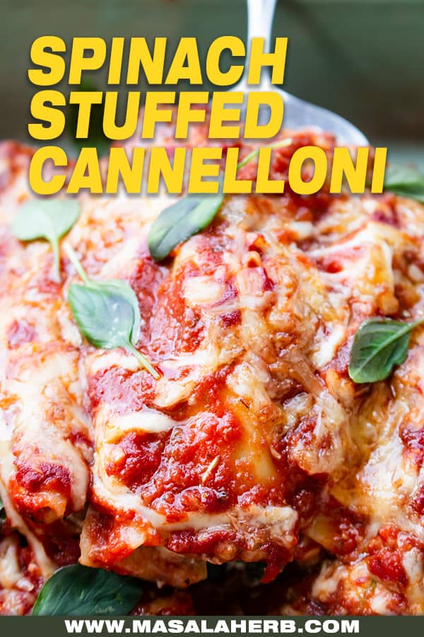 cannelloni spinach stuffed shells