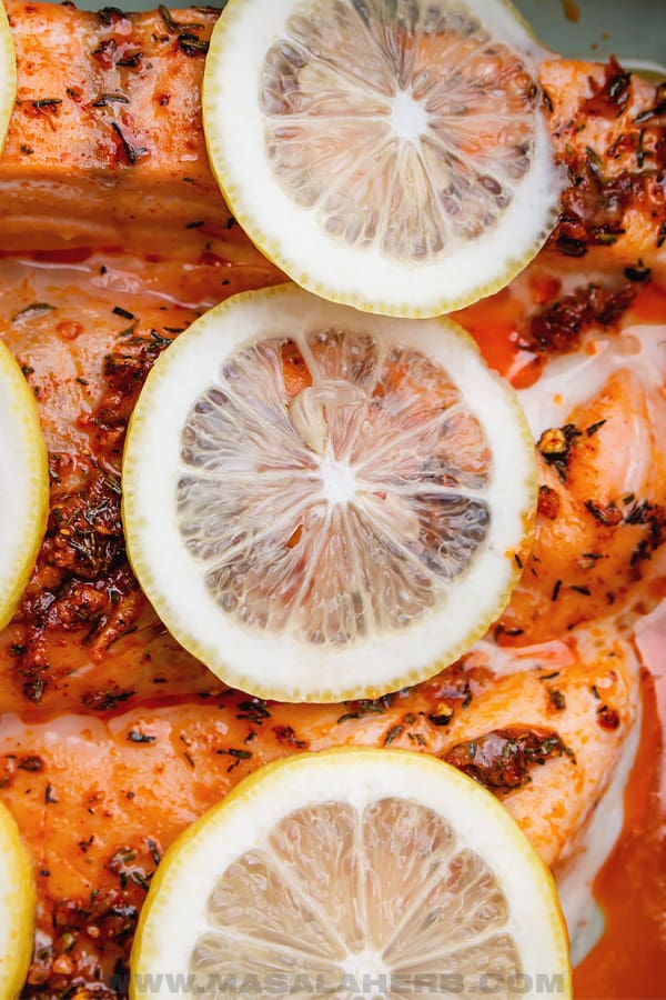 salmon fillet with spices