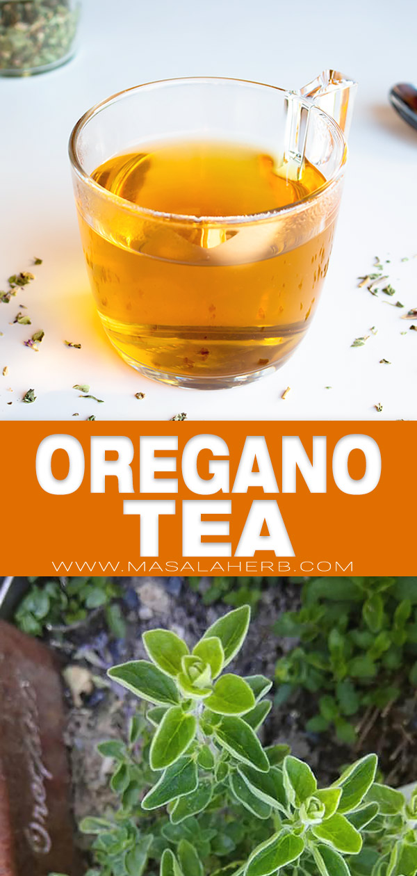 Homemade Oregano Tea pin image