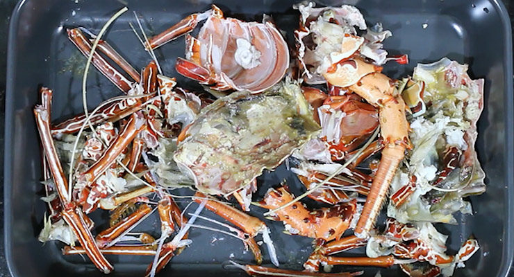 use lobster shells to make stock