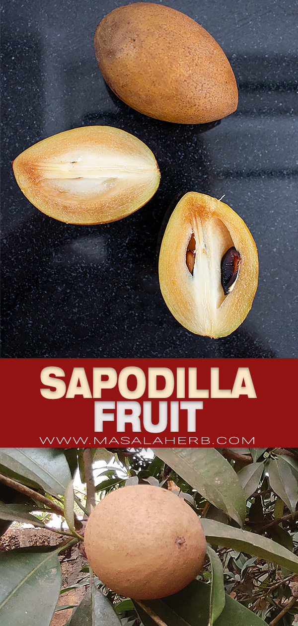 Sapodilla Fruit pin image