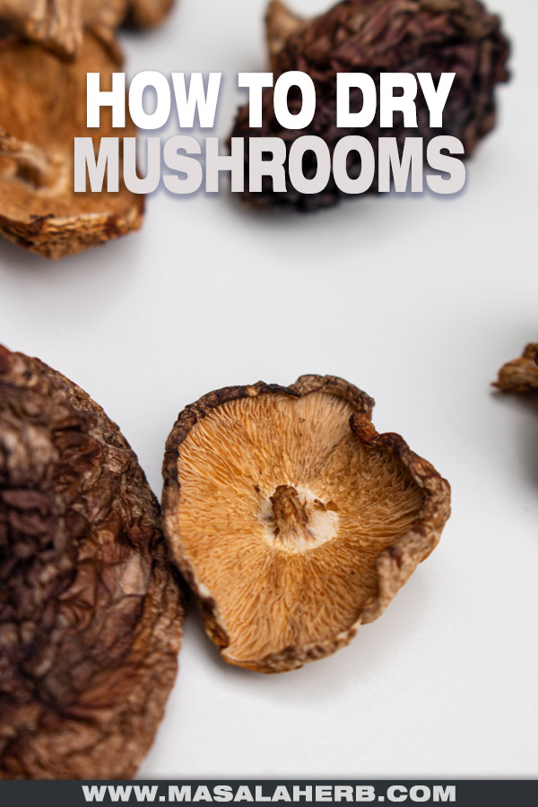 How to dehydrate Mushrooms cover picture