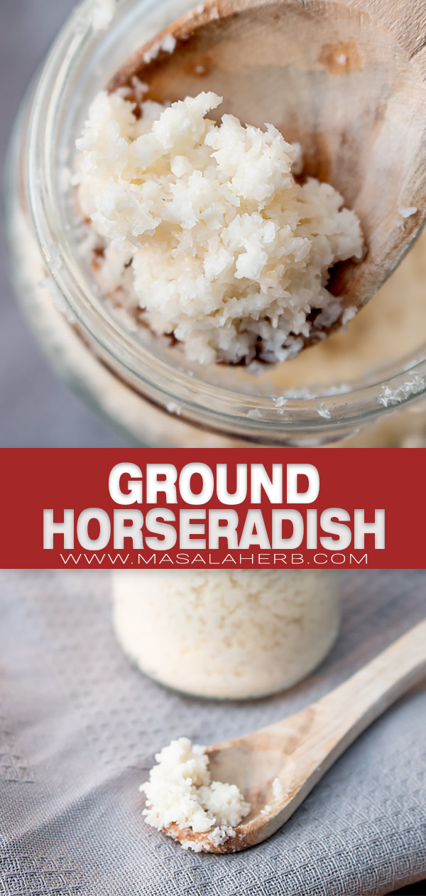 ground horseradish pin image