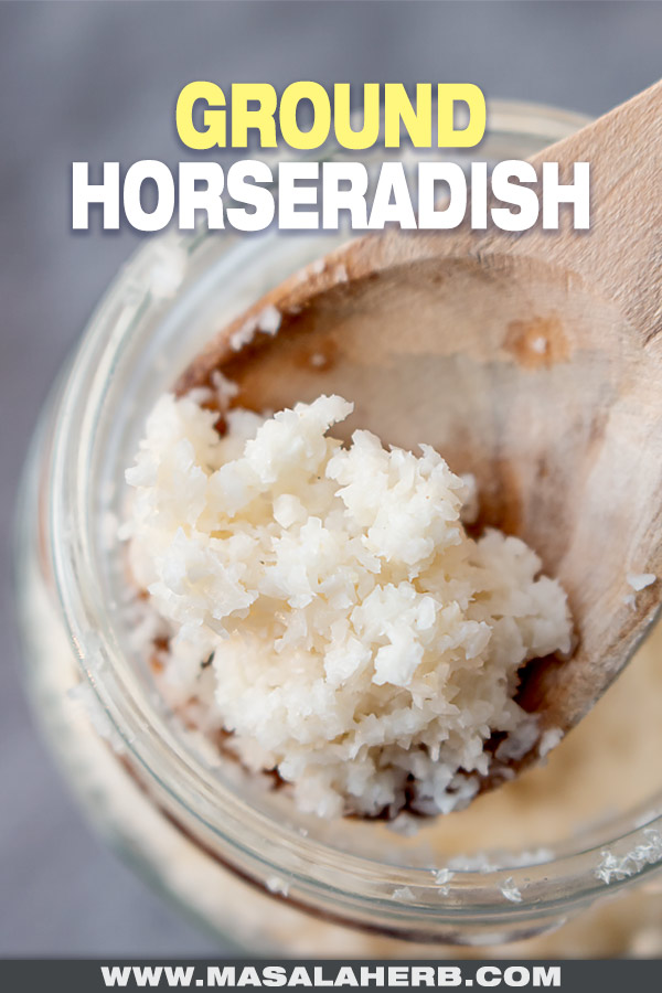 ground horseradish cover picture