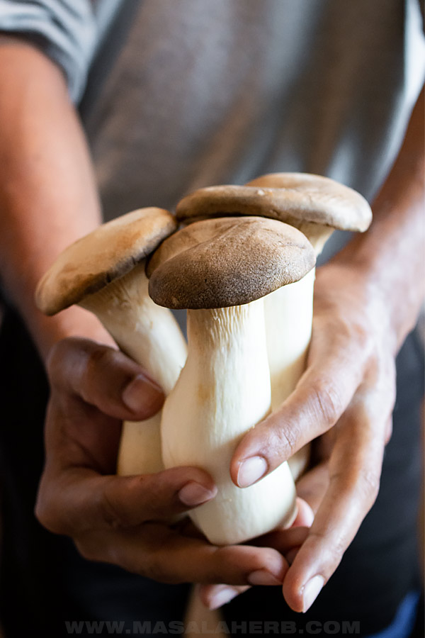 fresh king trumpet mushroom