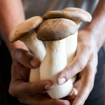 fresh king oyster mushrooms