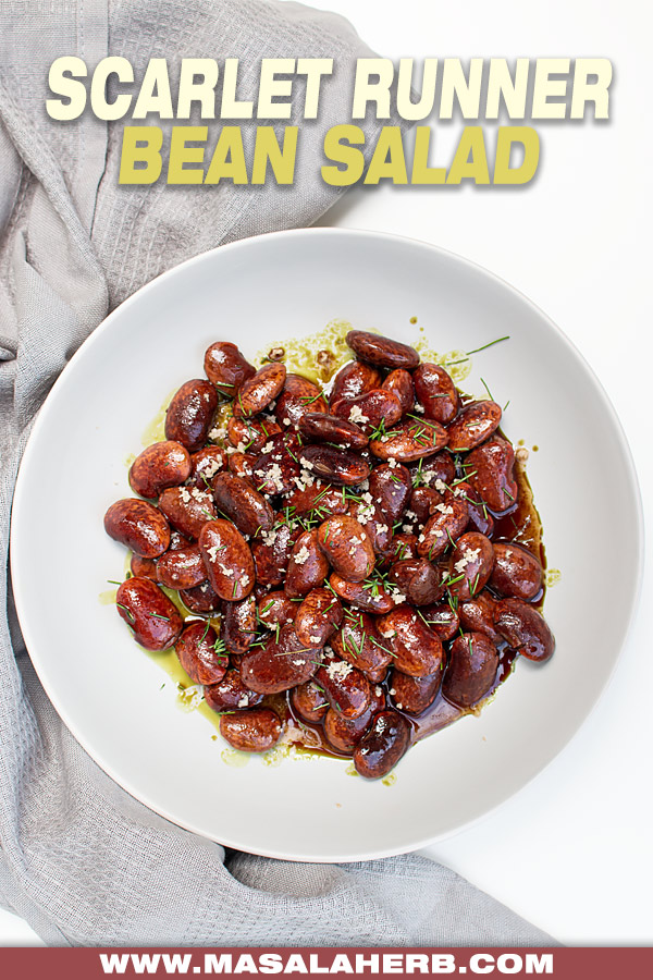 Scarlet Runner Bean Salad Recipe cover picture