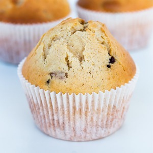 Cranberry Muffin in a cup cake liner