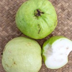 tropical guava fruit
