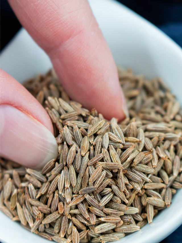What does Cumin taste like Story