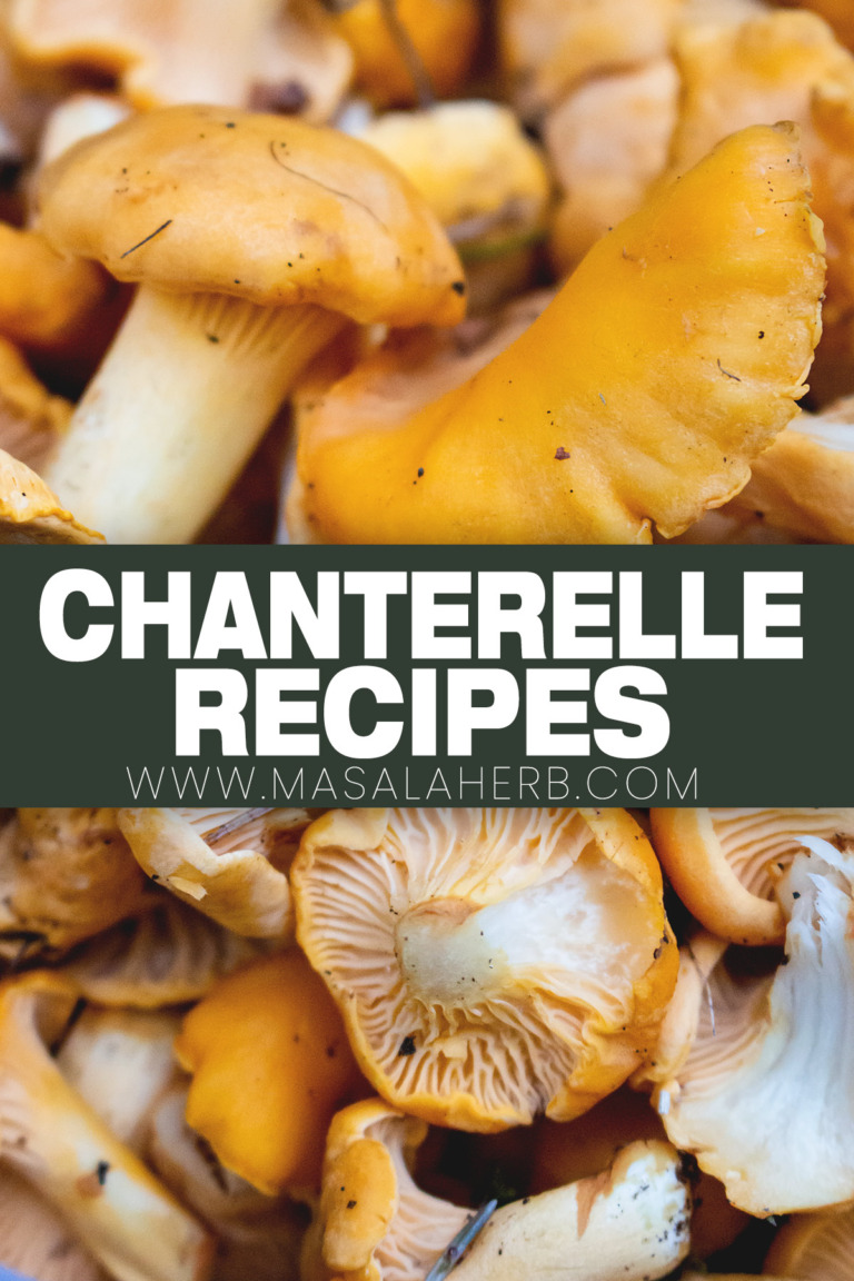 12 BEST Chanterelle Mushroom Recipes