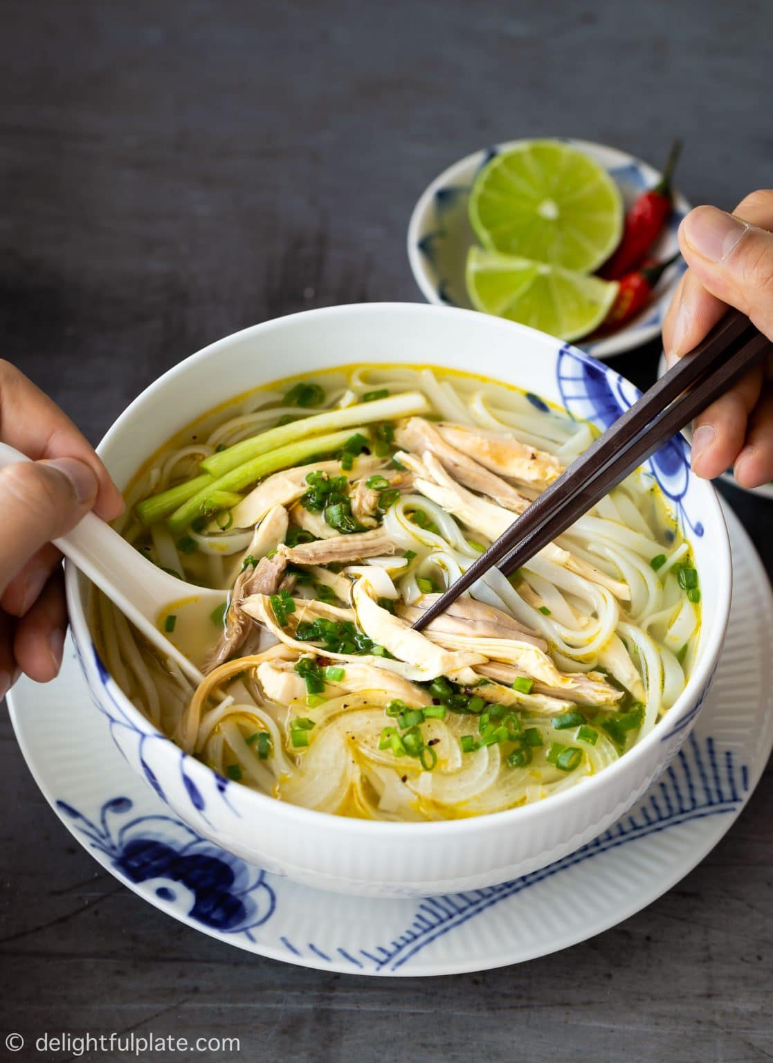 Pho Ga (Vietnamese Chicken Noodle Soup)