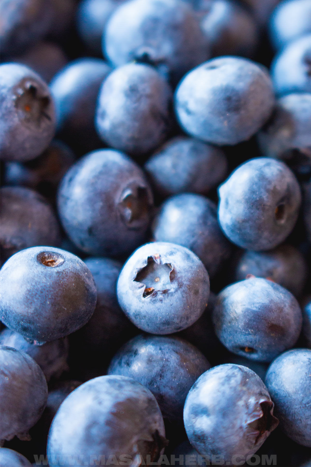 fresh blueberries close up