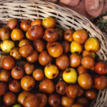 Bora Berries in a basket