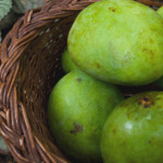 Green Mangoes in a basket