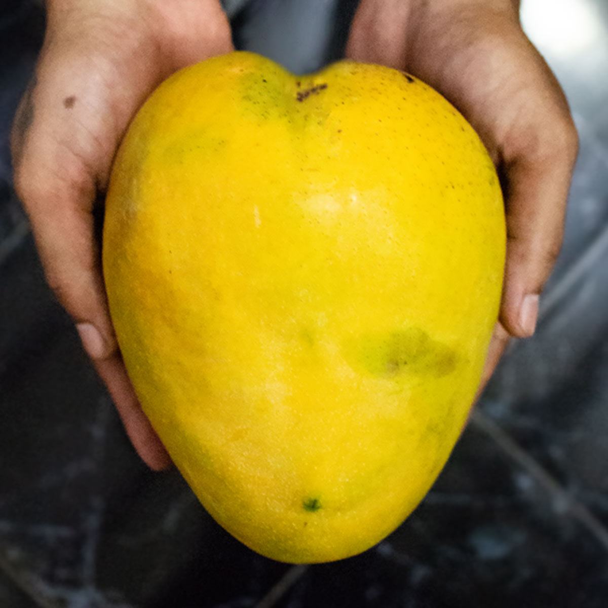 Mango in the shape of a heart