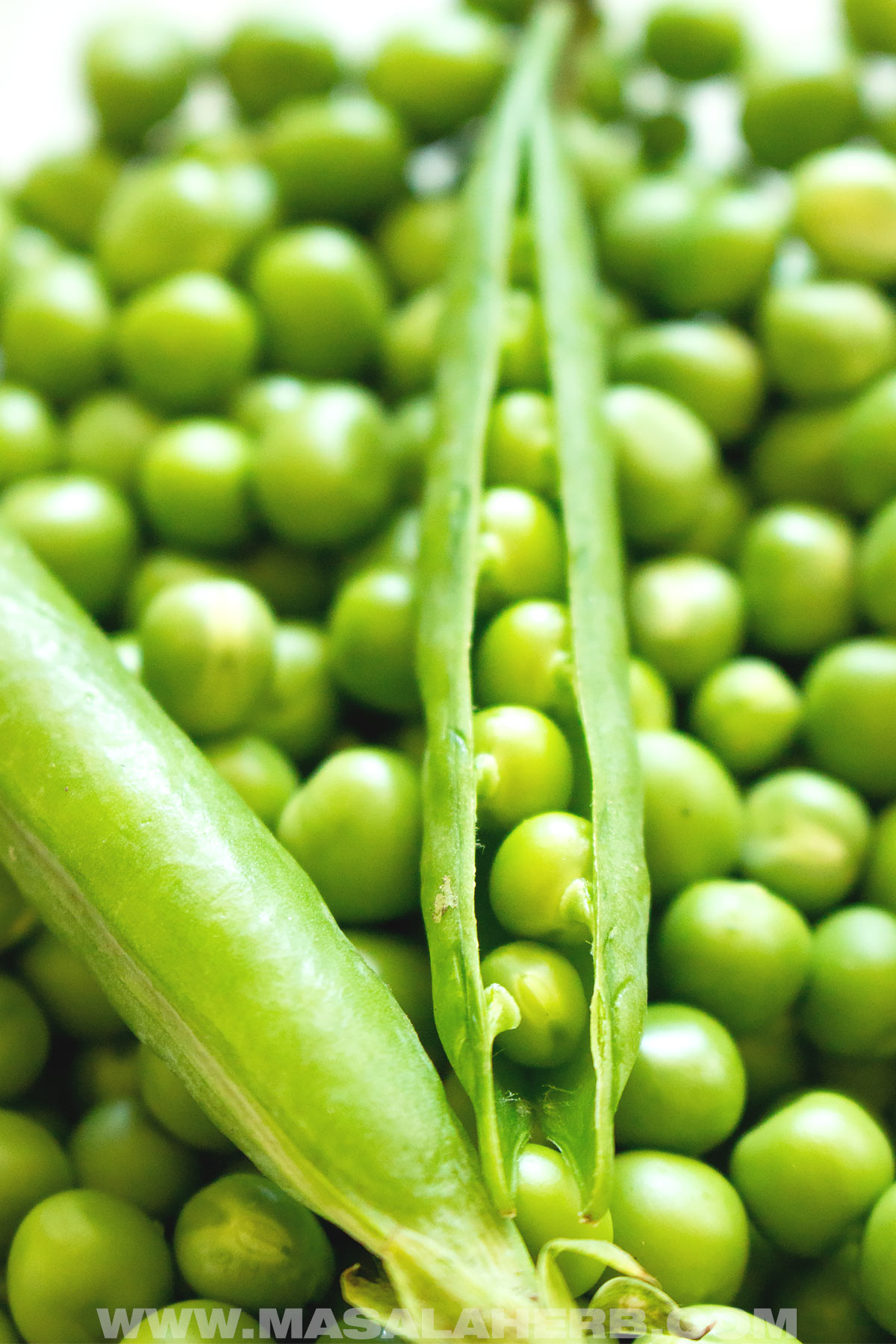 garden-fresh green peas