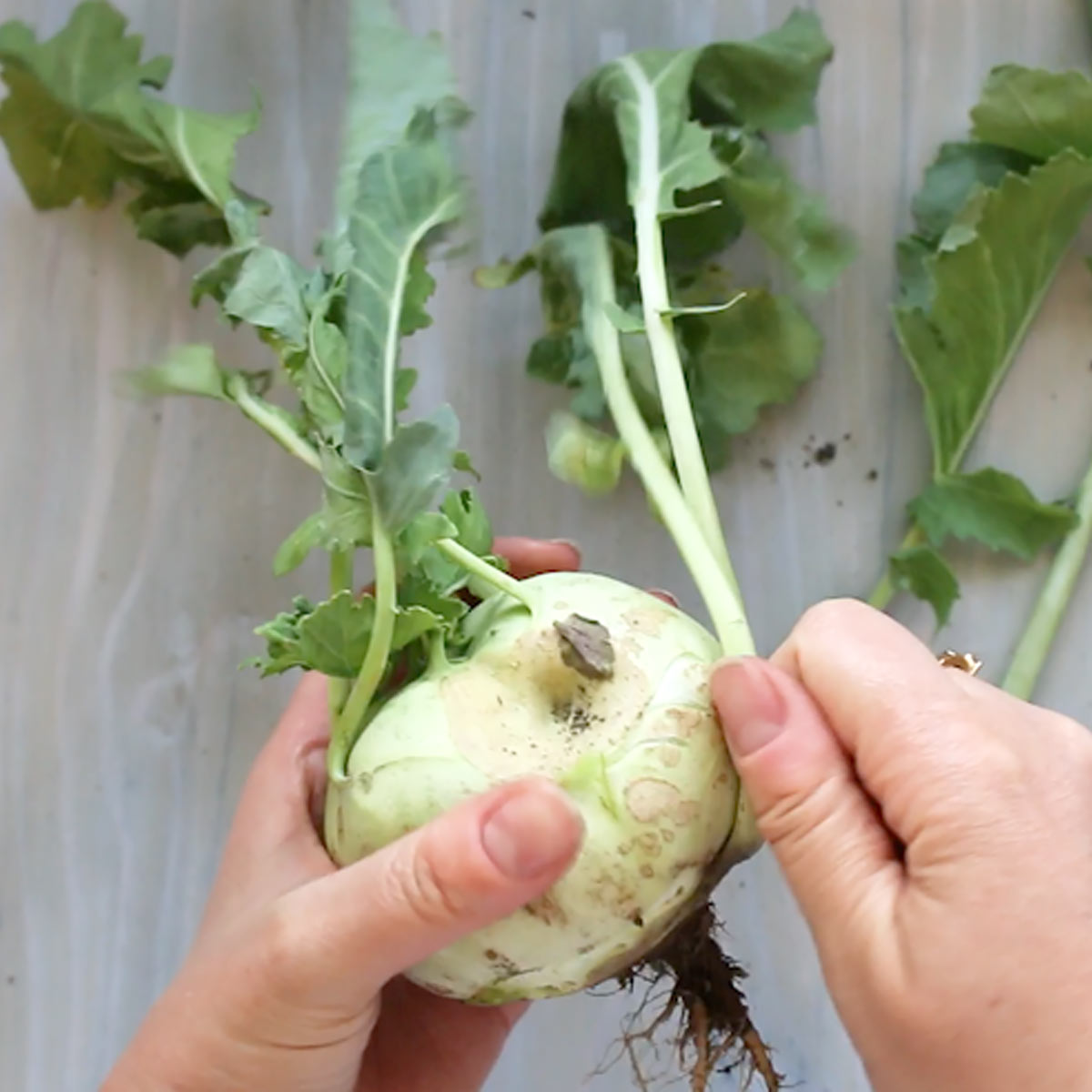 remove stem and leaves from the kohlrabi