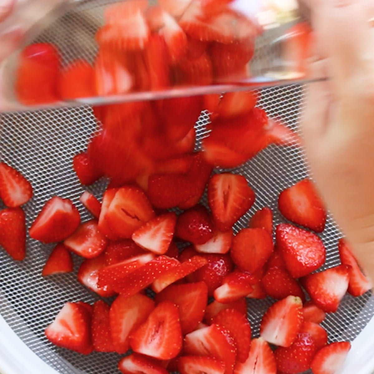 placing strawberries on the dehydrator tray