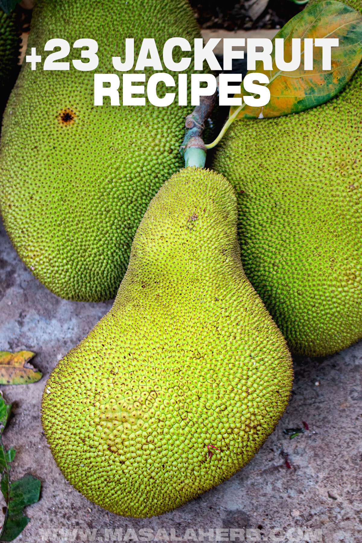 +23 Jackfruit Recipes (Ripe and Unripe) pin cover