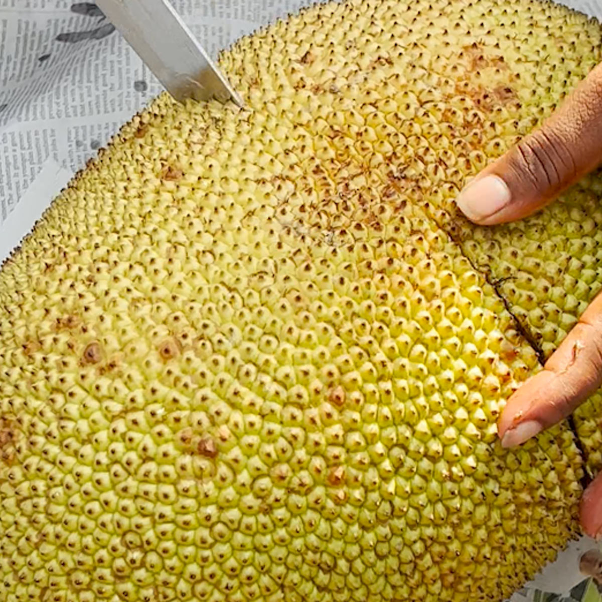 Cut jackfruit into two