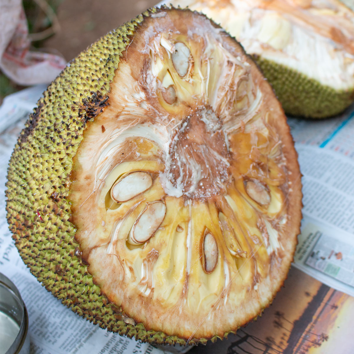 A jackfruit half with the sap turning brown