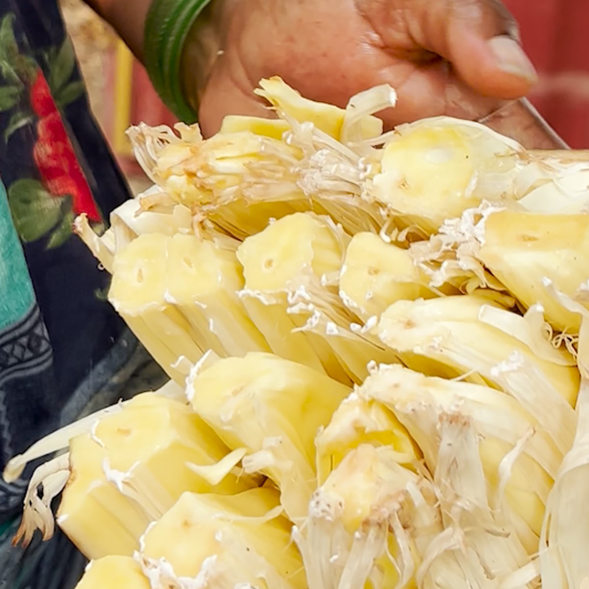 Expose jackfruit pods to pick them out