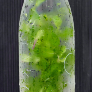 infusing water with mint