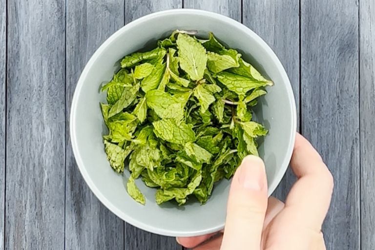 Mint Infused Water Recipe