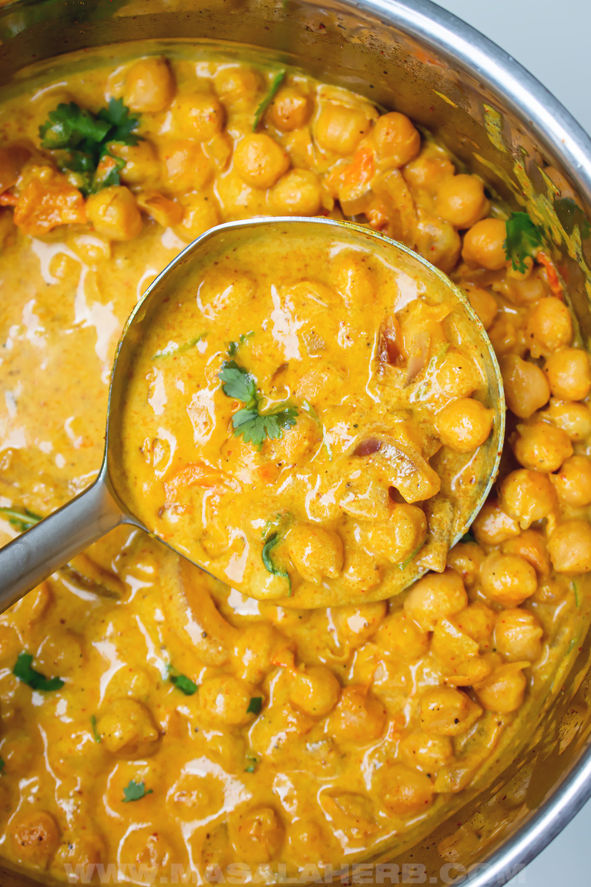 Creamy coconut milk curry in a pot with a ladle