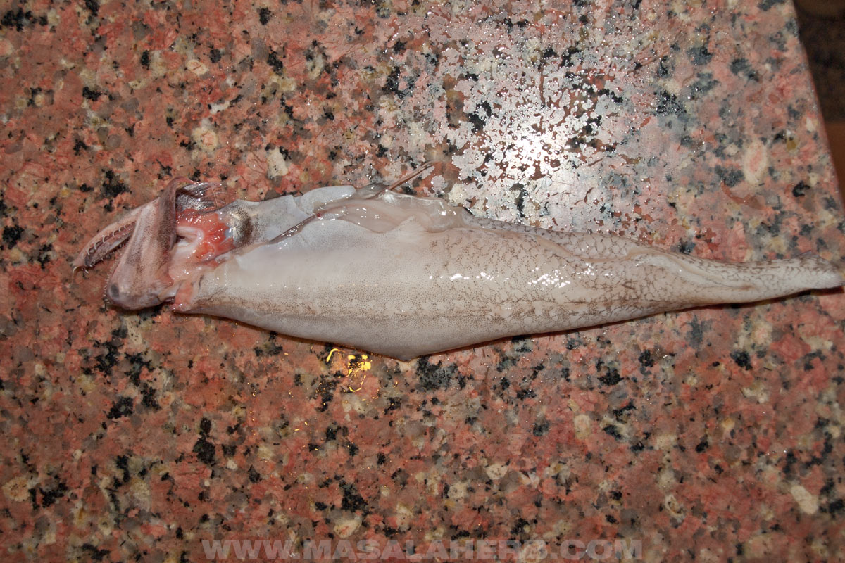a whole bombay duck fish