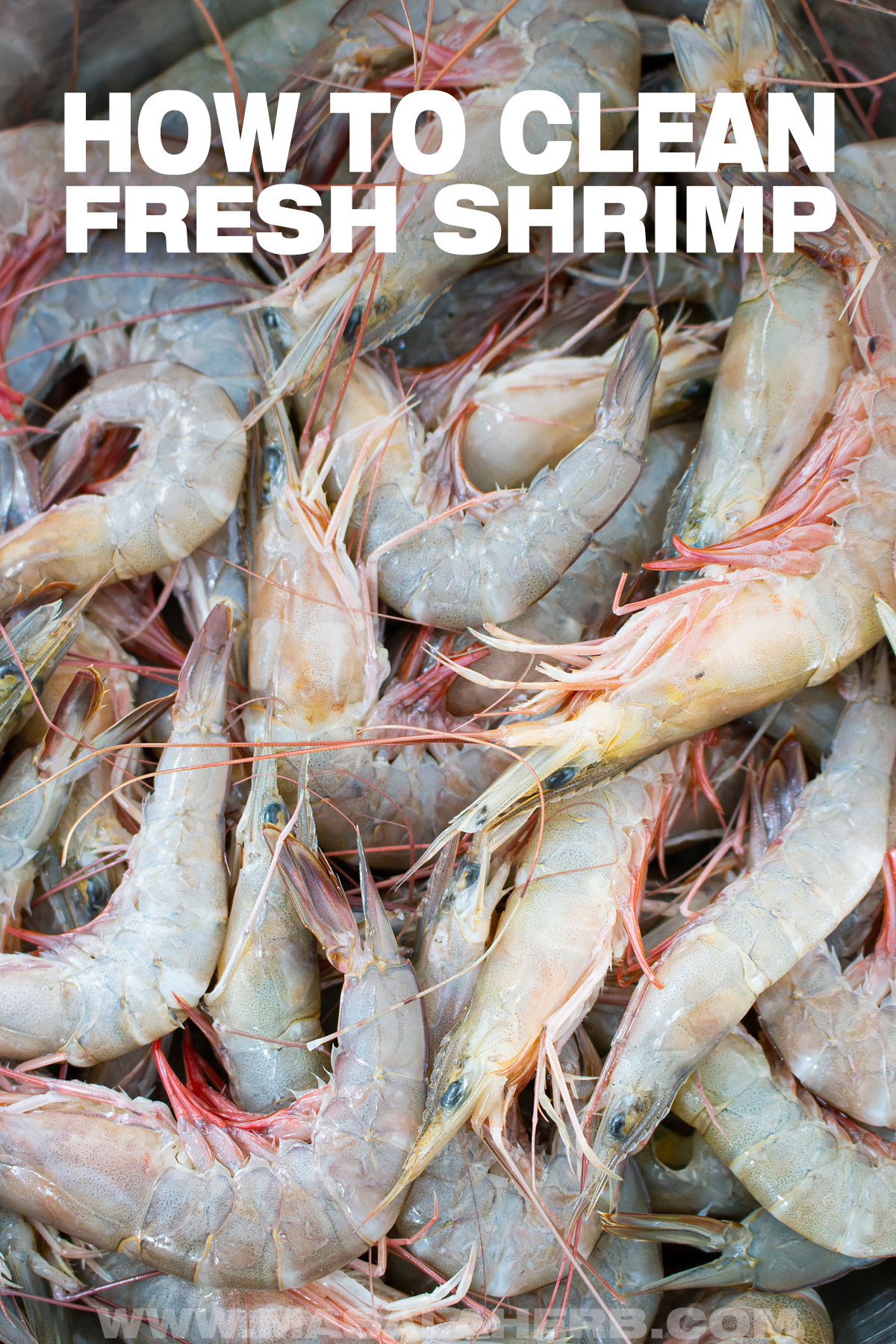 How to peel and devein fresh Shrimp cover image