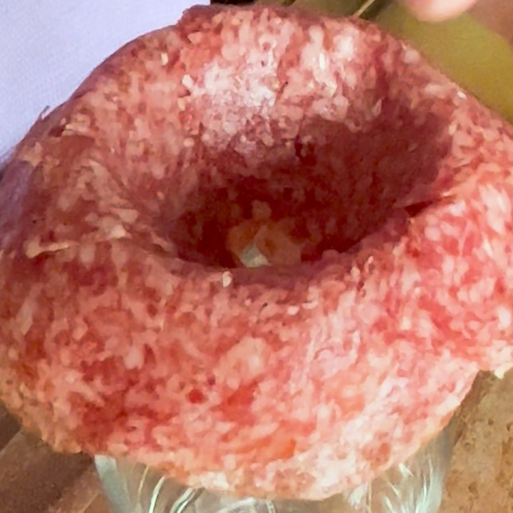 How to make a Salami Rose