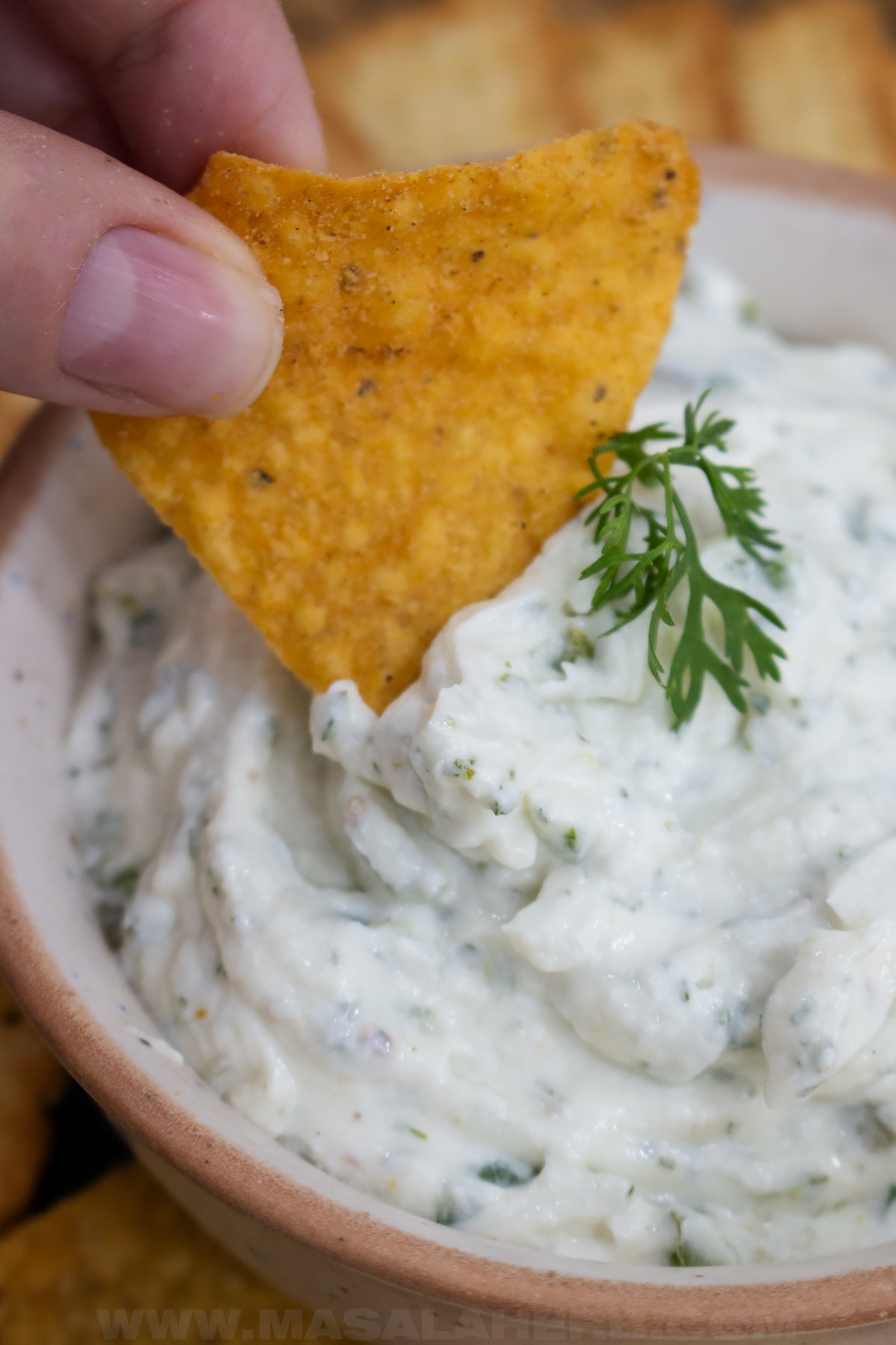 cream cheese dip with jalapeno close up