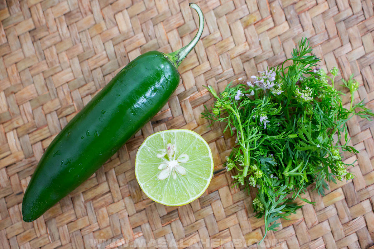 jalapeno lime and fresh cilantro