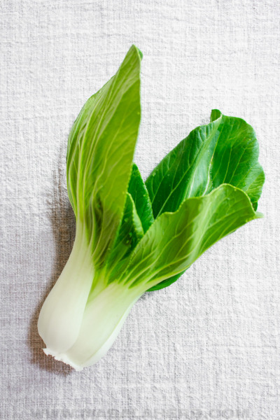 fresh shanghai bok choy