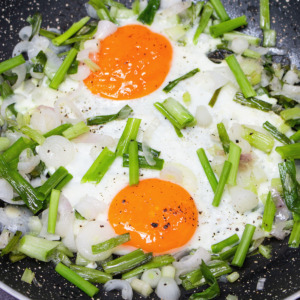 eggs and green onions fried