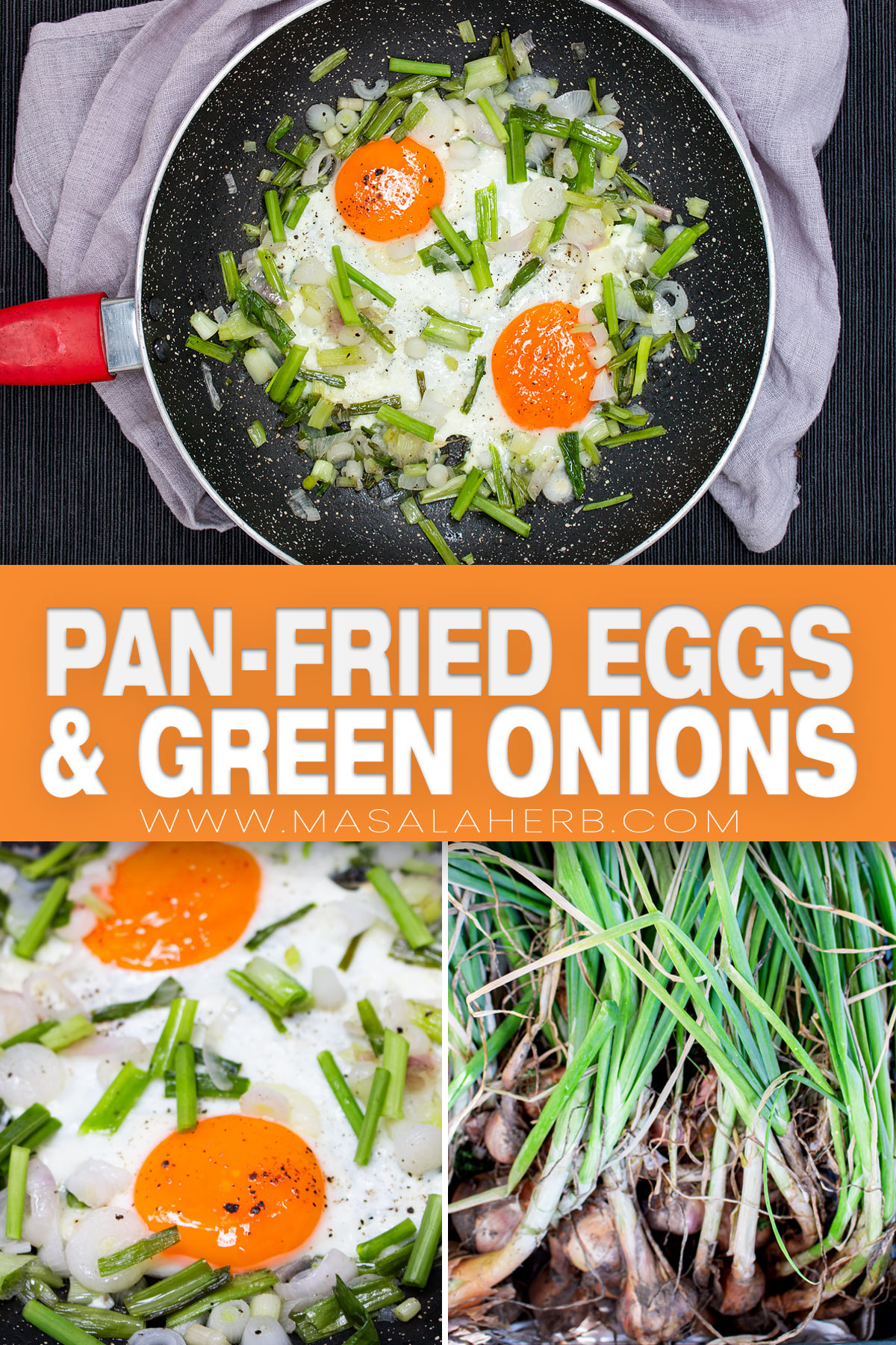 10 Min Pan-Fried Eggs with Green Onions pin picture