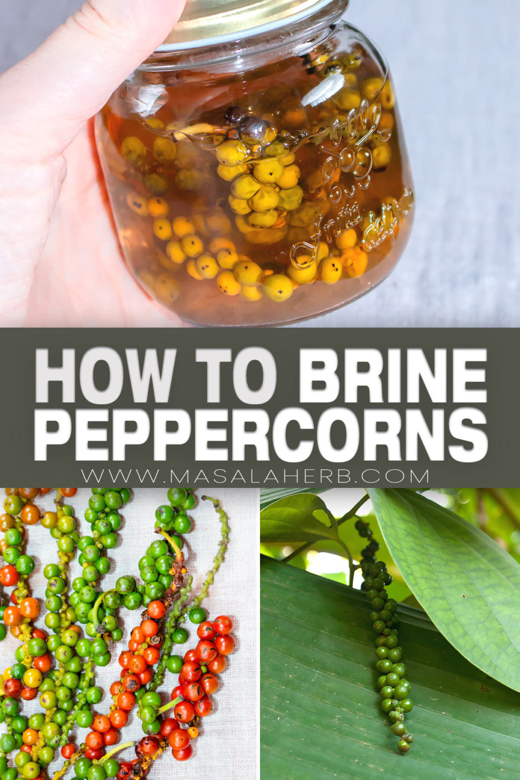 How to make Green Peppercorns in Brine (Pickled Peppercorns)