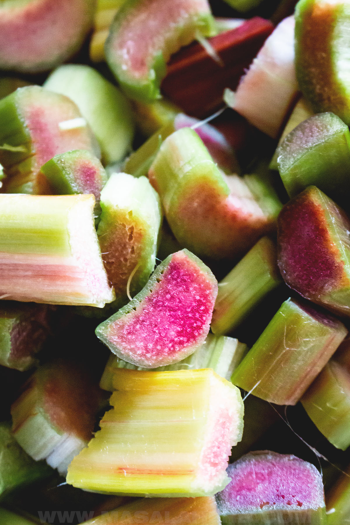 freshly cut rhubarb stalks