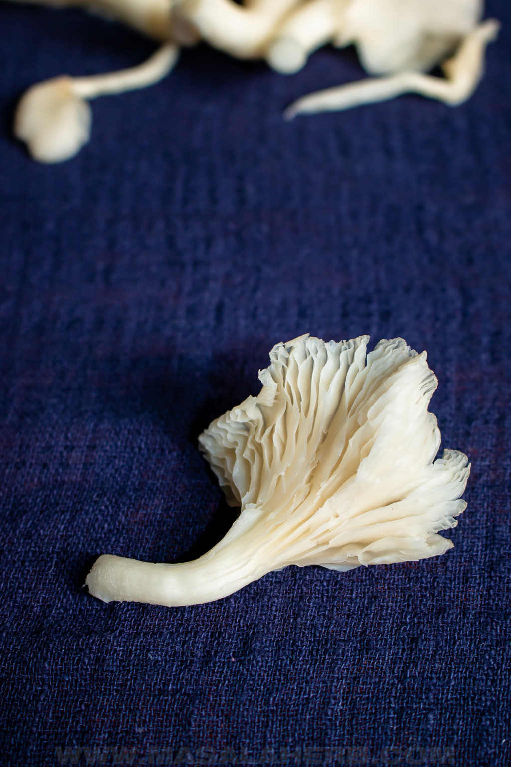 White Wine Sautéed Oyster Mushrooms Recipe