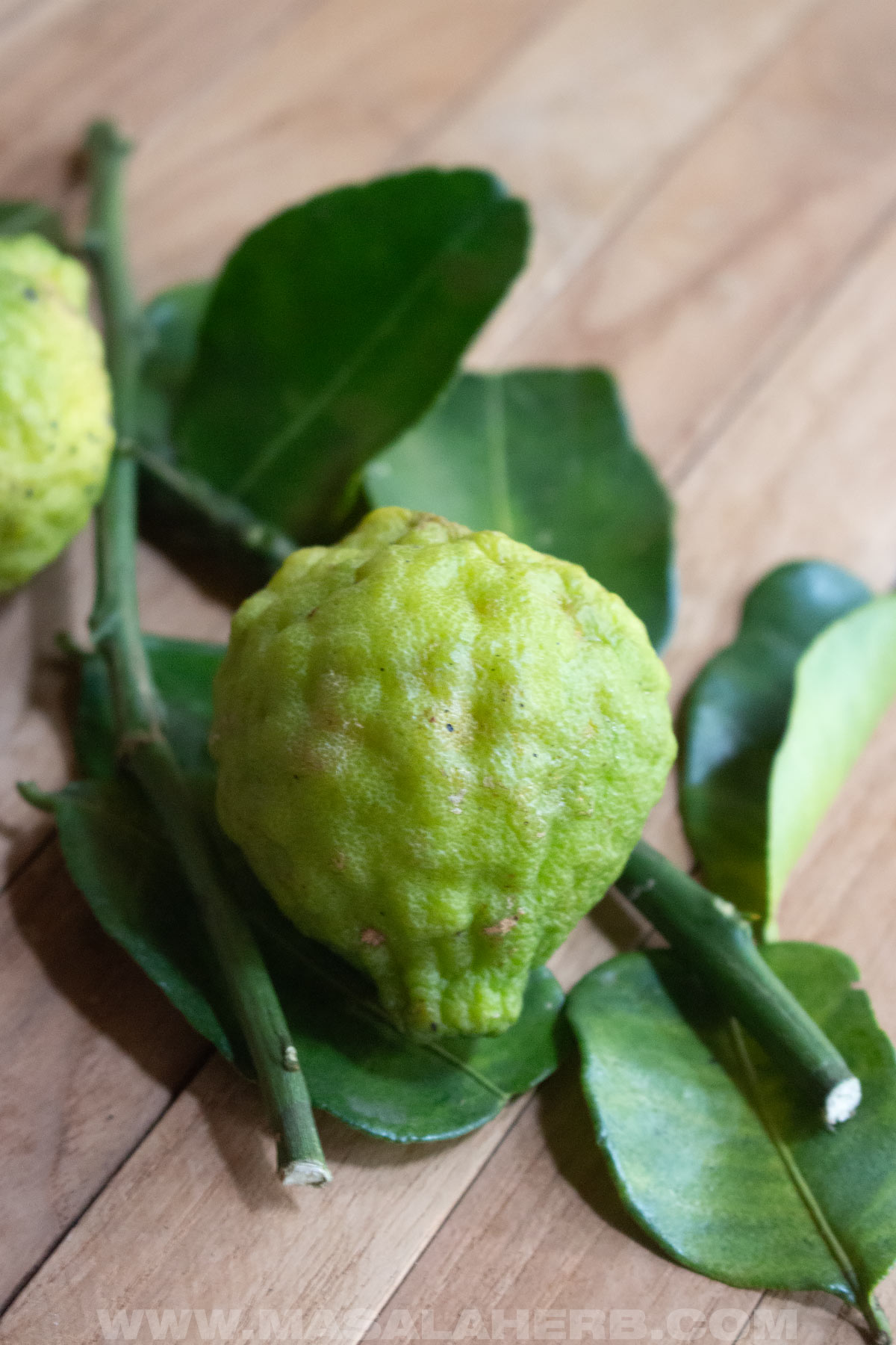 Kaffir Lime Leaves (aka Makroot Lime Leaves)