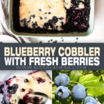 Blueberry Cobbler with Fresh Blueberries pin picture