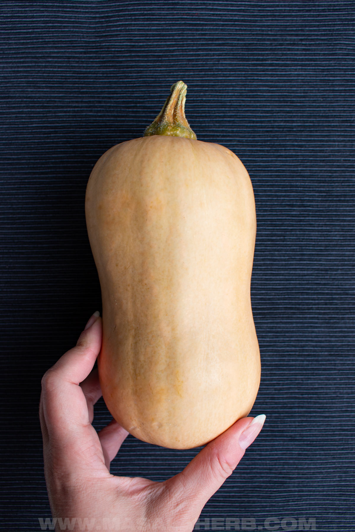 small butternut squash