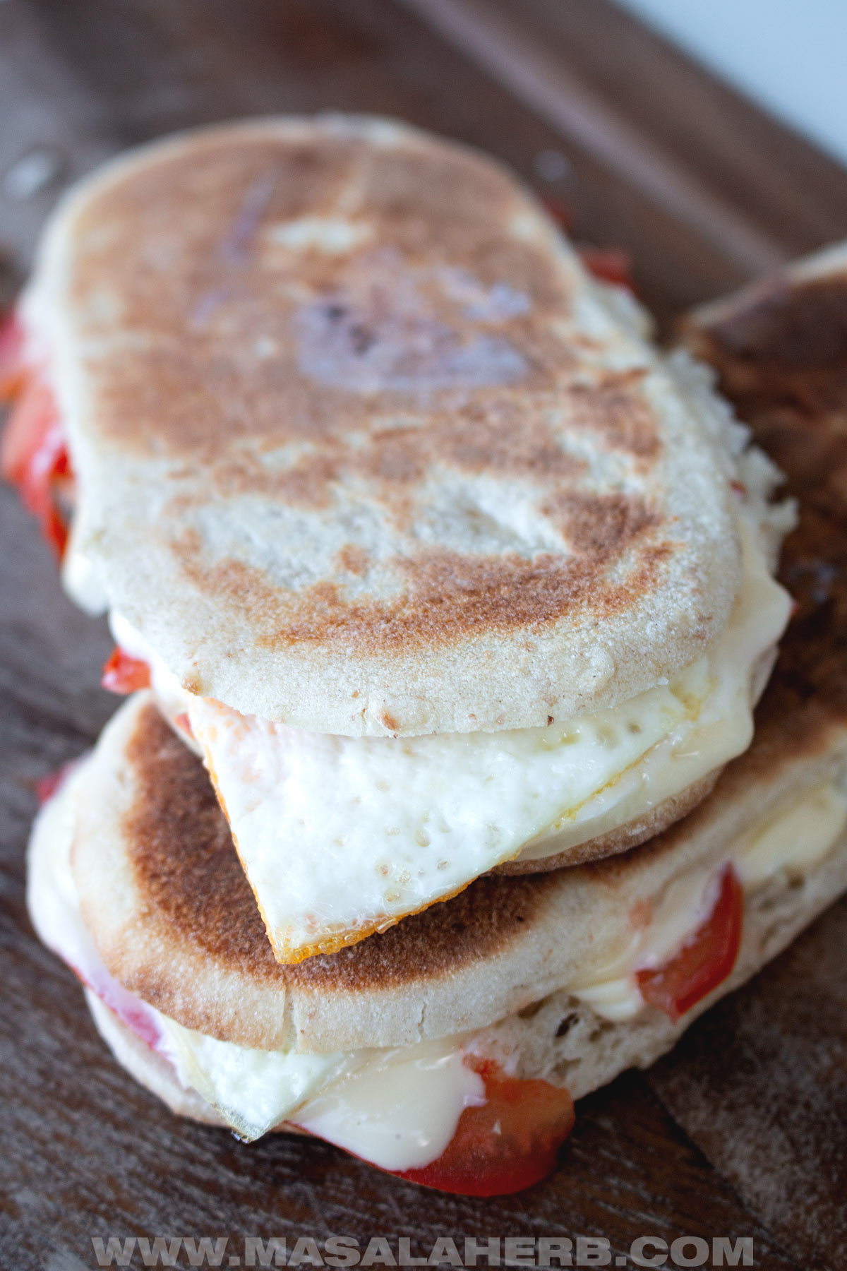 Toasted egg panini sandwich