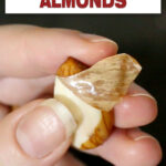 How to Blanch Almonds to Peel cover