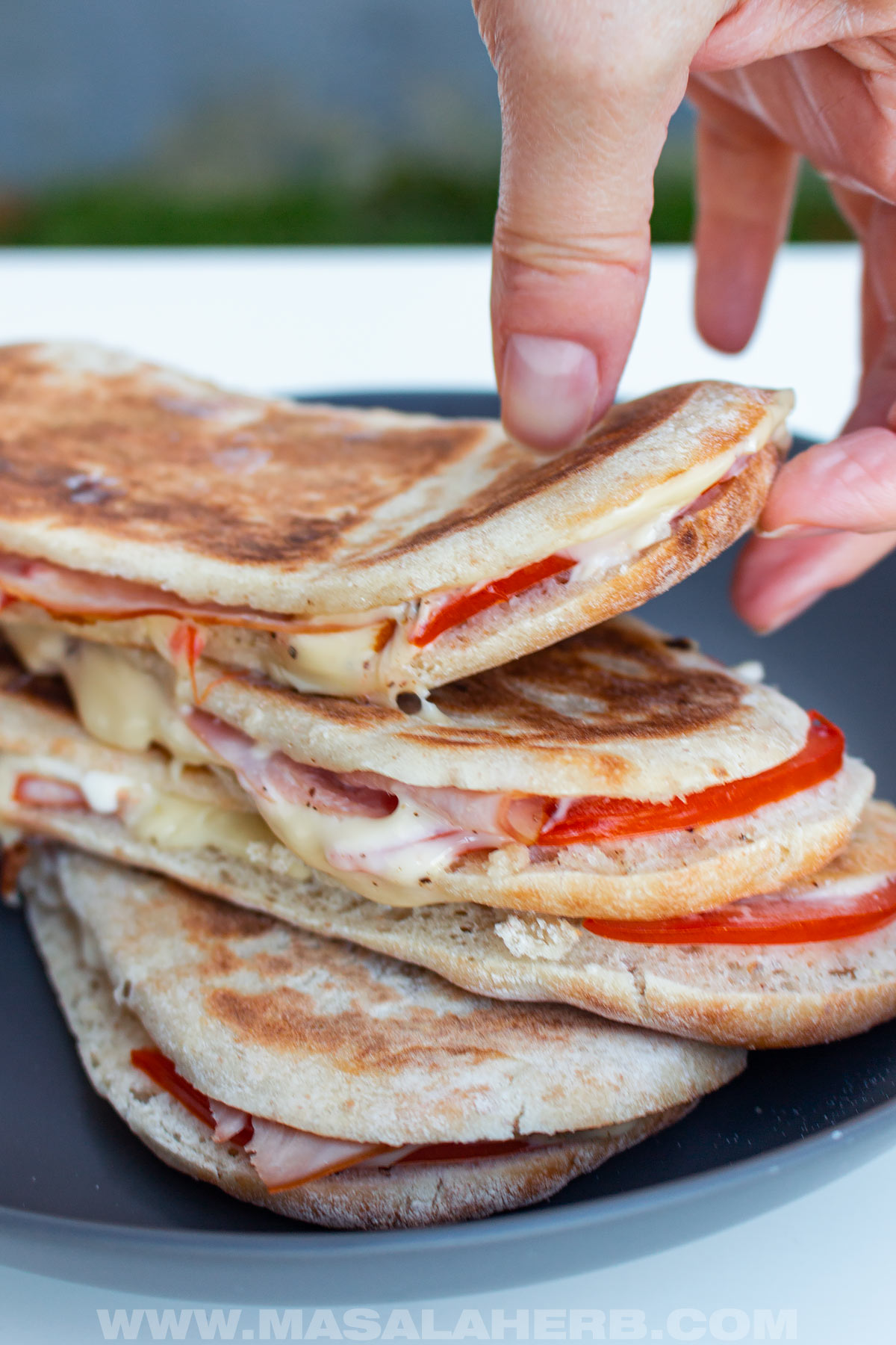 Toastes Ham and Cheese Panini