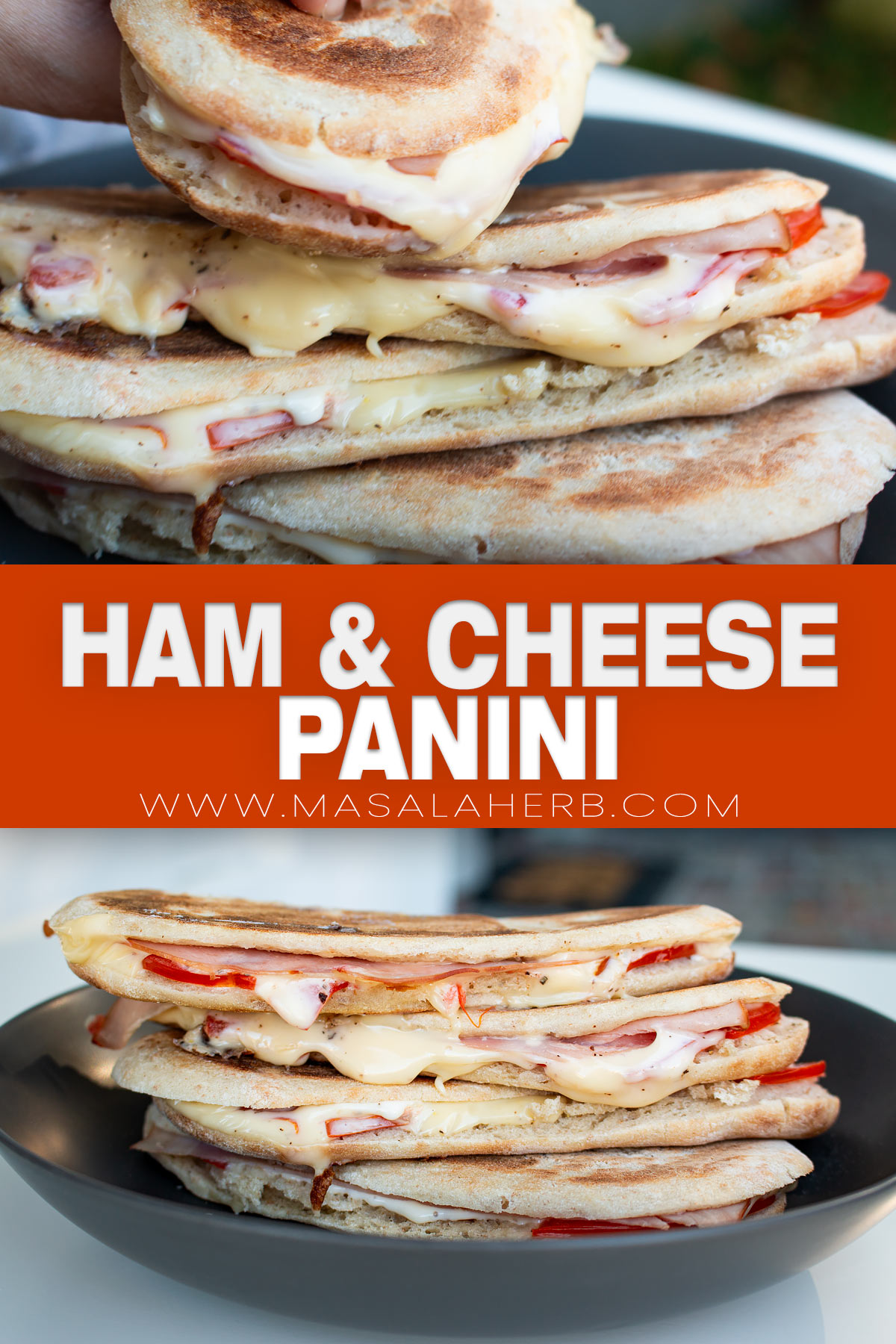 Ham and Cheese Panini pin